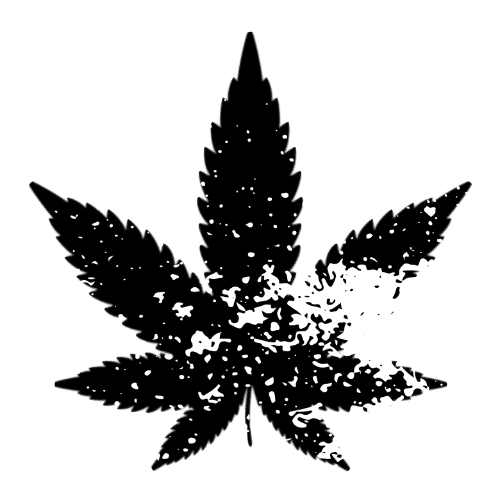 Cbd Cream For Pain