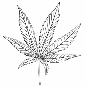 endocannabinoid system