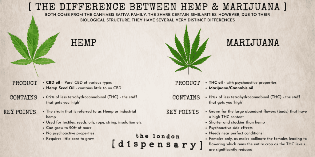 Difference Between Hemp Oil, Cbd Oil And Marijuana Oil Infographic