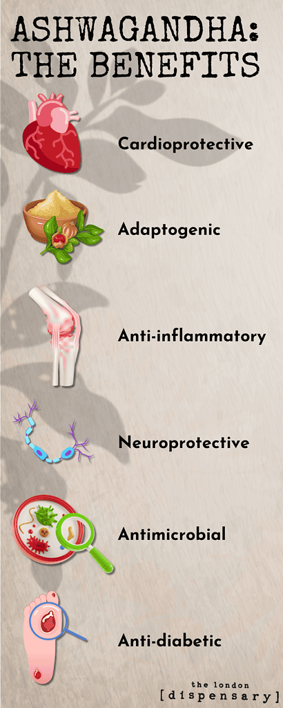 Ashwagandha Benefits Infographic