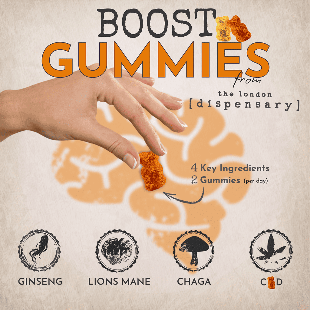 Best Mushroom Gummies