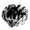 Lions Mane Mushroom 