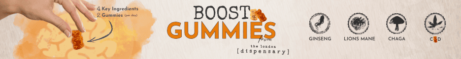 Mushroom Gummies Banner