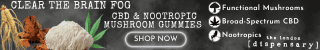Mushroom Gummies Banner