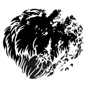 Mushroom Supplements Lions Mane
