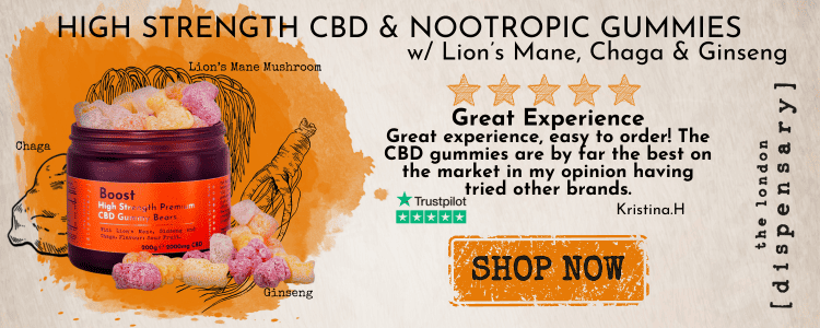 Lions mane CBD gummies