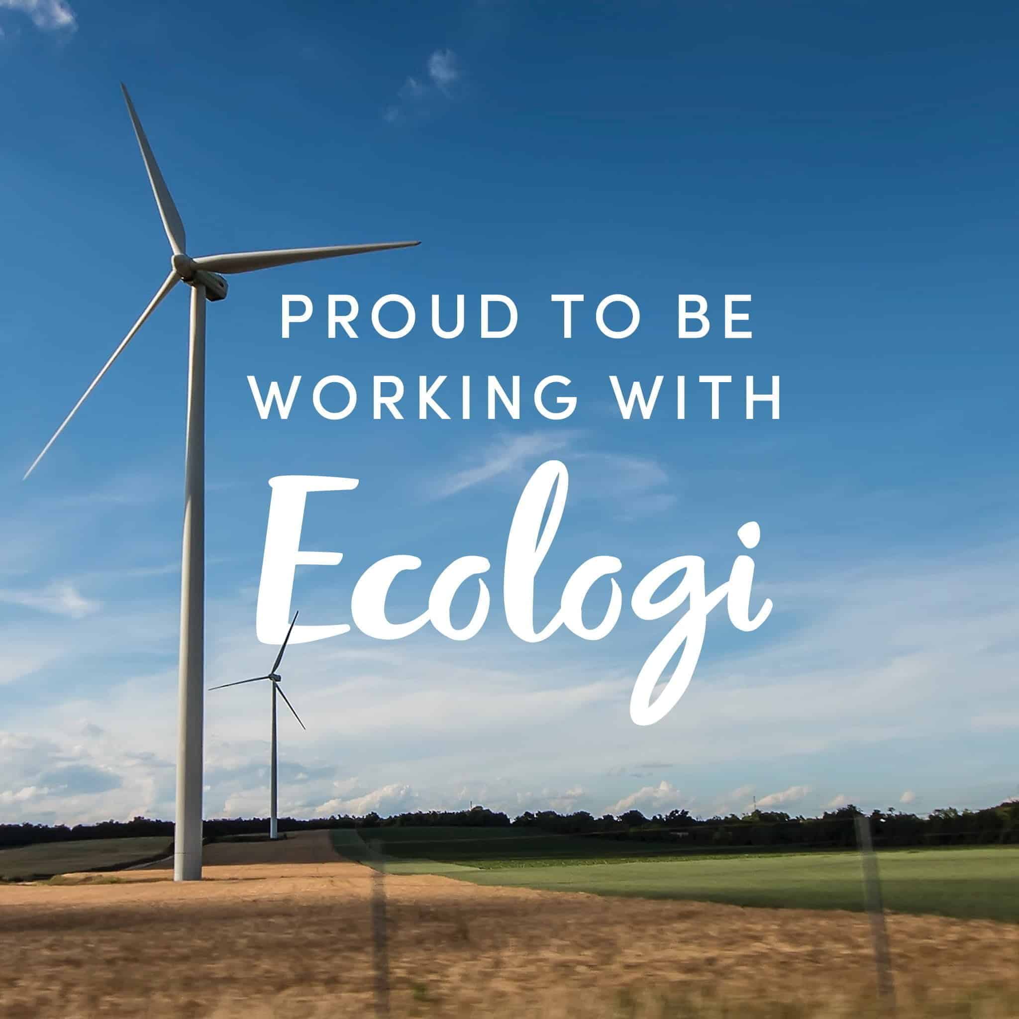 Reforestation project supported through Ecologi
