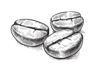 What are nootropics?